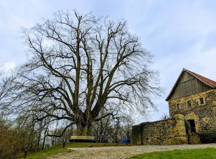 Fürsteneck Castle, Eiterfeld, Germany, Germany